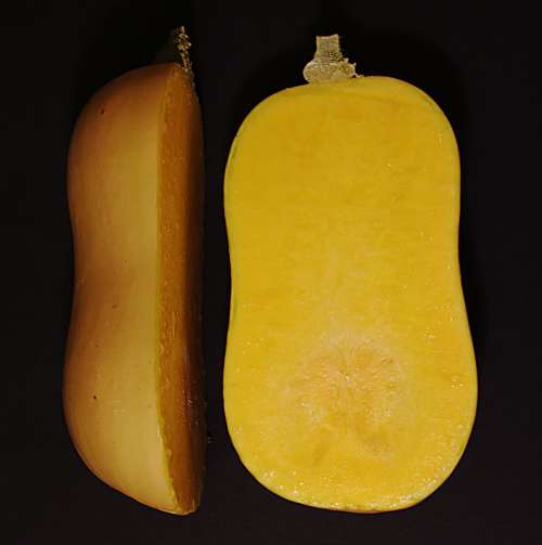 butternut-squash1